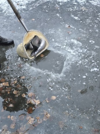 WhatsApp Image 2026-01-08 2